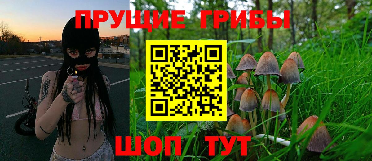 Галлюциногенные грибы Magic Shrooms Саров